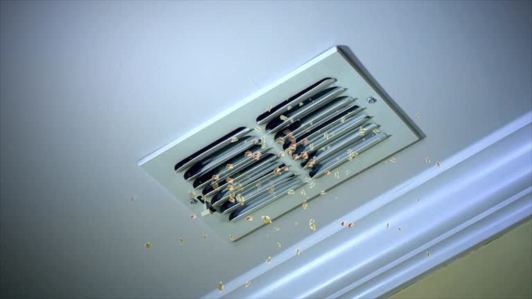 Best Duct Cleaning for Homes  in Camp Croft, SC